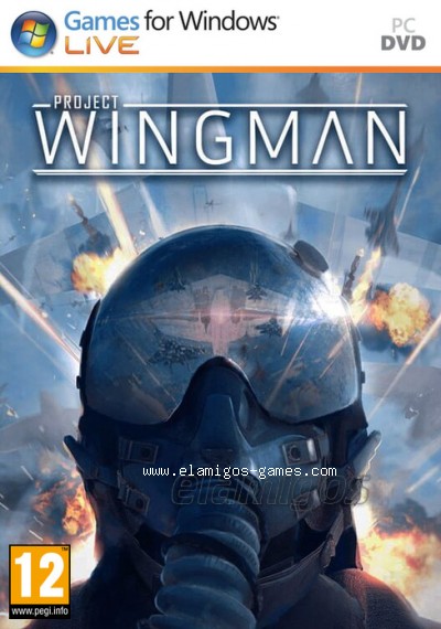 Download Project Wingman