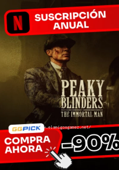 Netflix Premium 1 Year